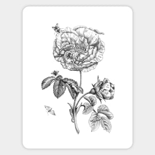 Rose Flower with Insects Magnet